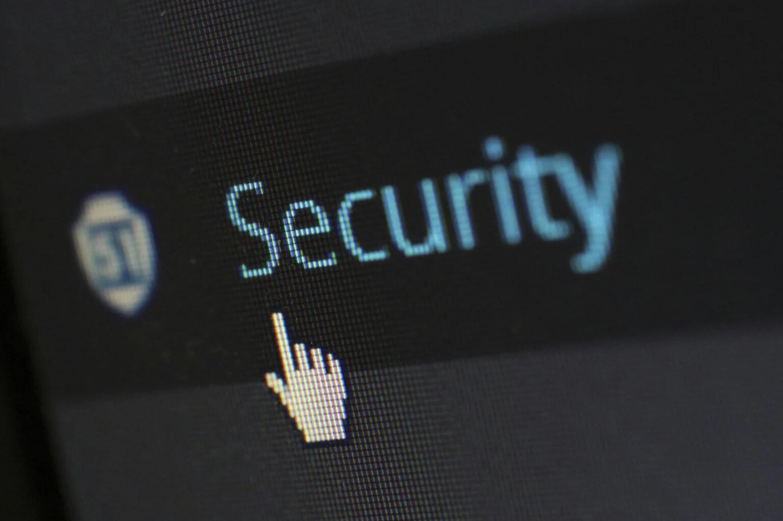 Security protection anti virus software 60504.jpeg