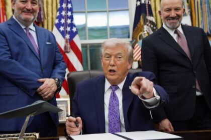 108240992 17654969442025 12 11t234501z 1287636350 rc2neia7vqwp rtrmadp 0 usa trump.jpeg