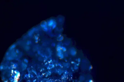 2019 05 dobson ringwoodite.jpg.webp.webp