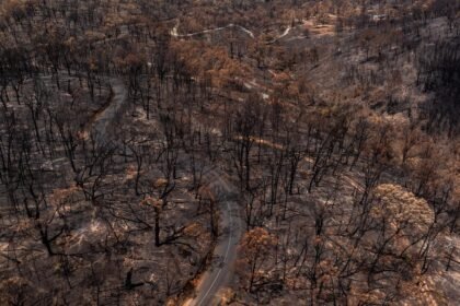 4c9cd884 gp0su83db medium res 1200px.jpg