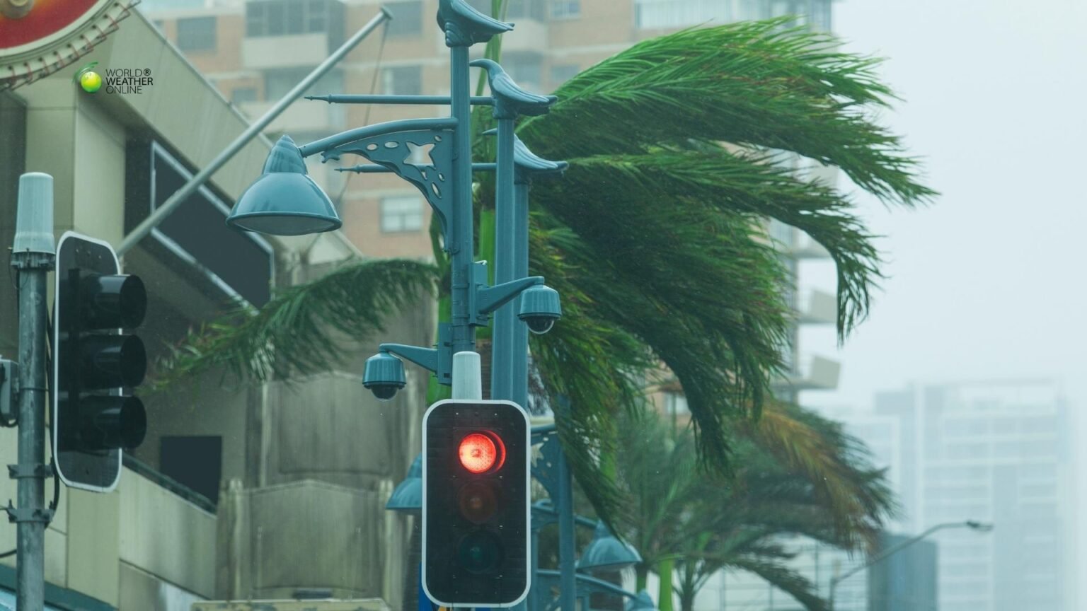 Cyclone Hayley and Multi Region Storm Impacts.jpg