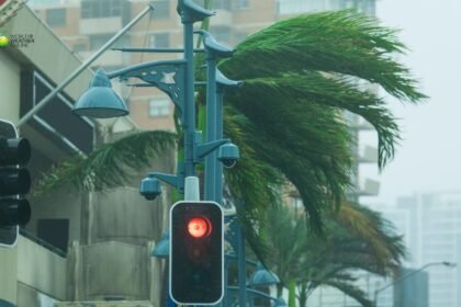 Cyclone Hayley and Multi Region Storm Impacts.jpg