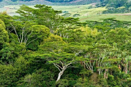 Depositphotos 30901895 L 1024x680.jpg