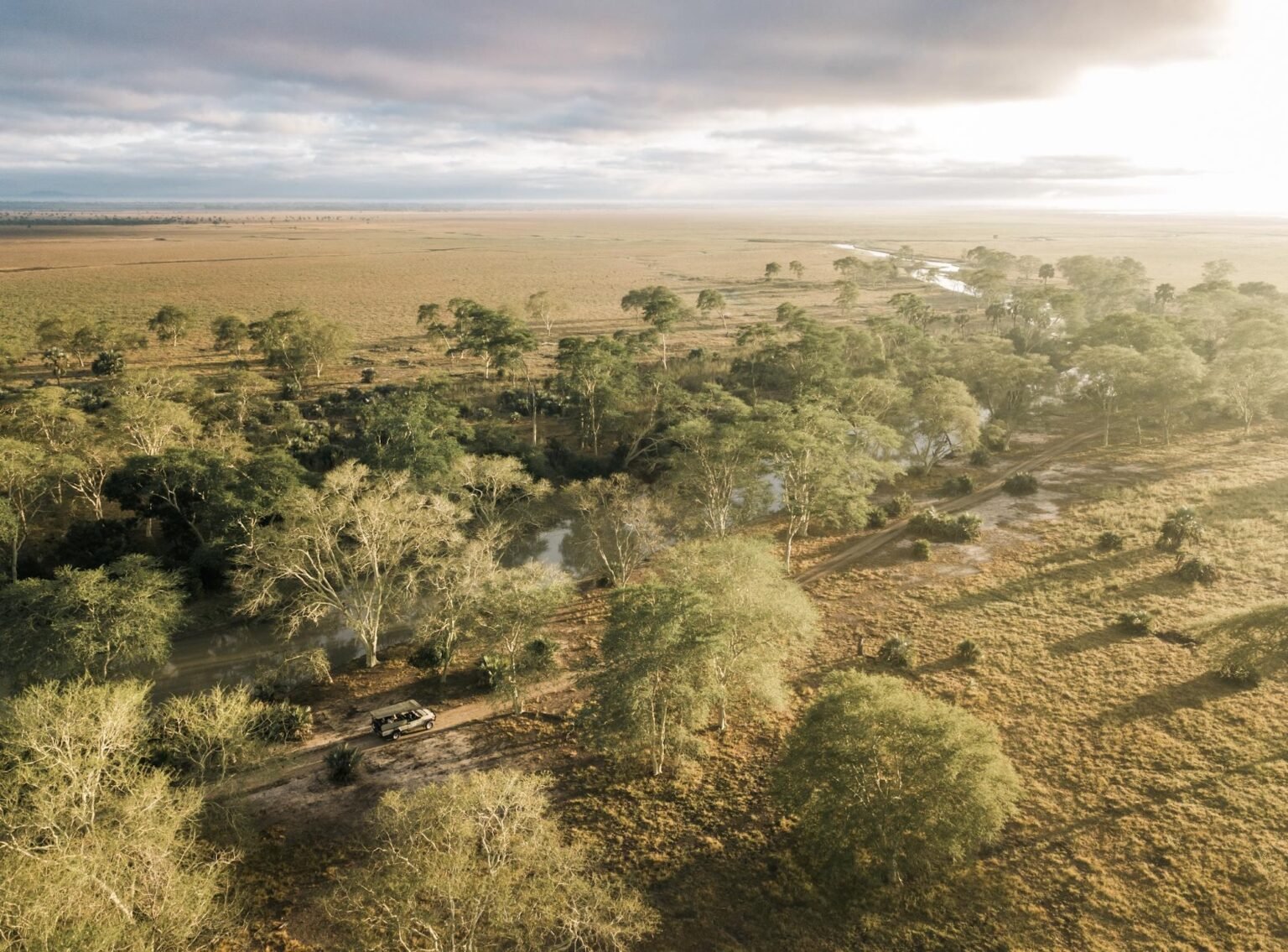 Gorongosa aerial landscape view.jpeg