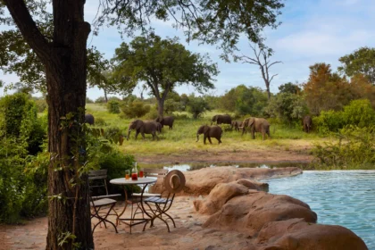 MOTSWARI 4 1 1 scaled.webp.webp