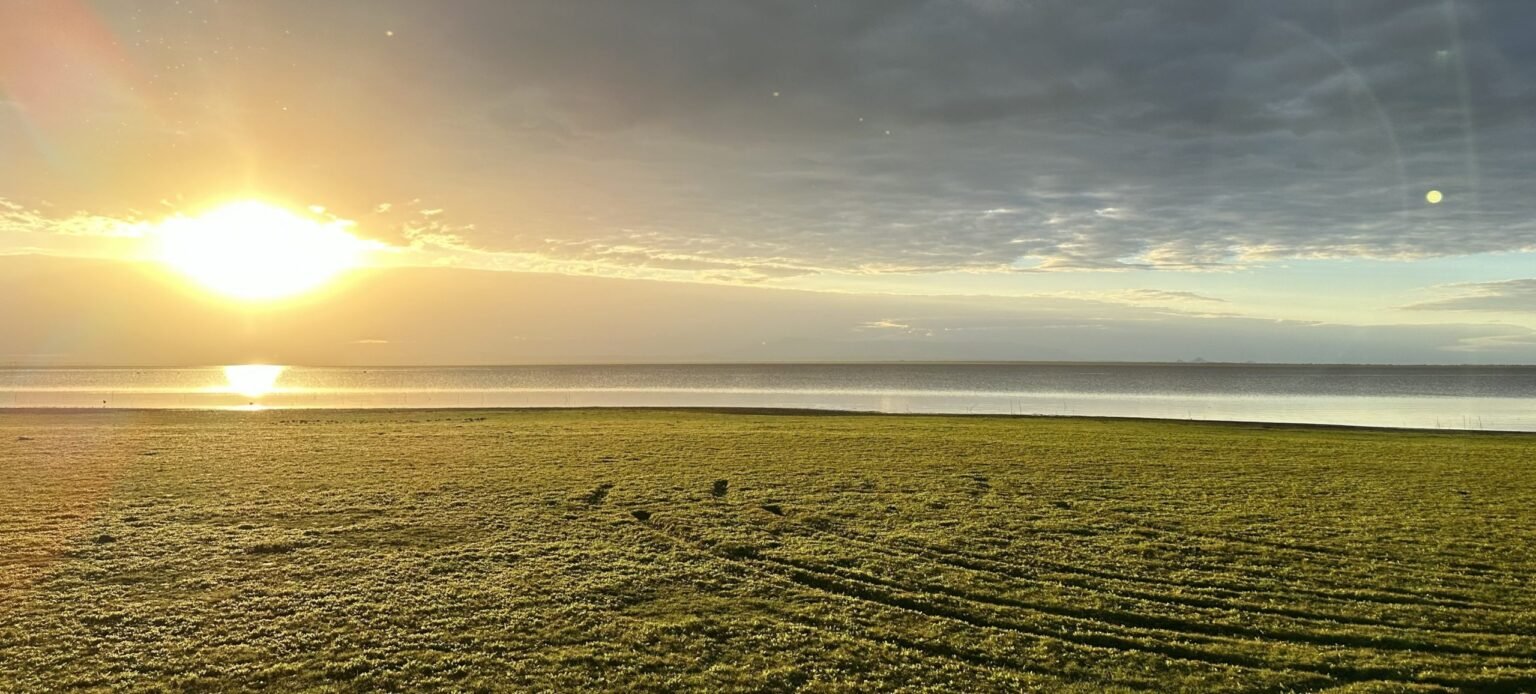 Sam gorongosa safari waterbuck landscape sunset cover 2 scaled.jpeg