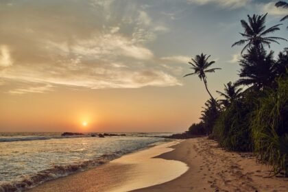 Weligama sri lanka.jpg