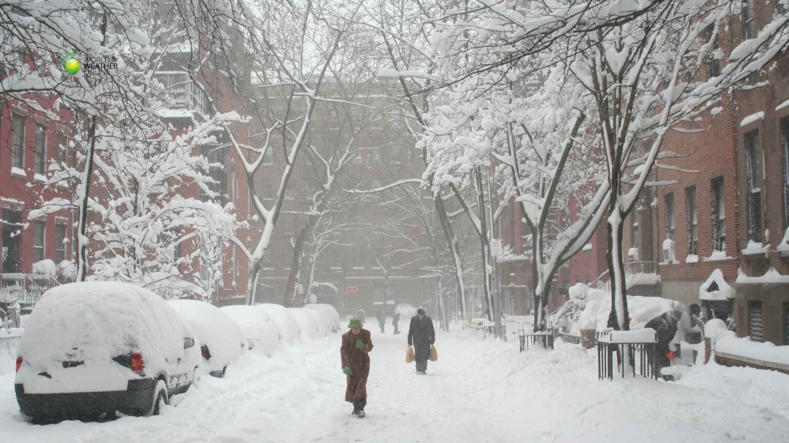 Winter Storm Fern.jpg