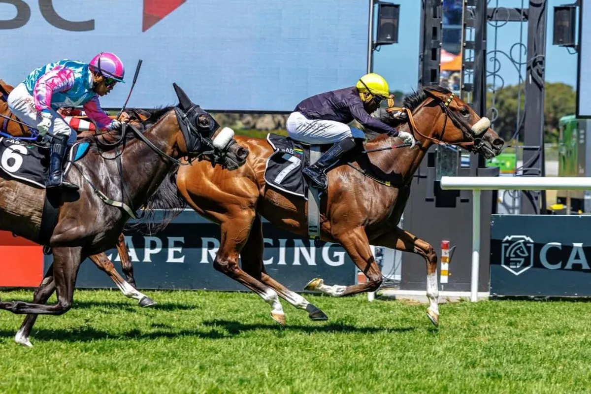 Feature cape town met.jpg.webp.webp