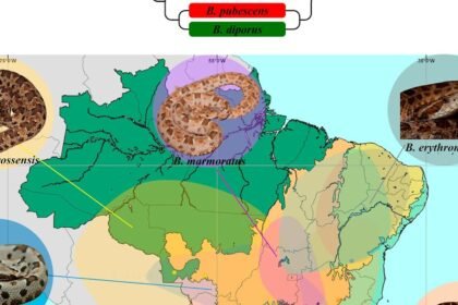 Images large pr5c00933 0001.jpeg