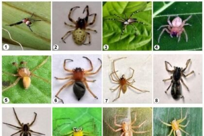 1770842195 Capture.JPG