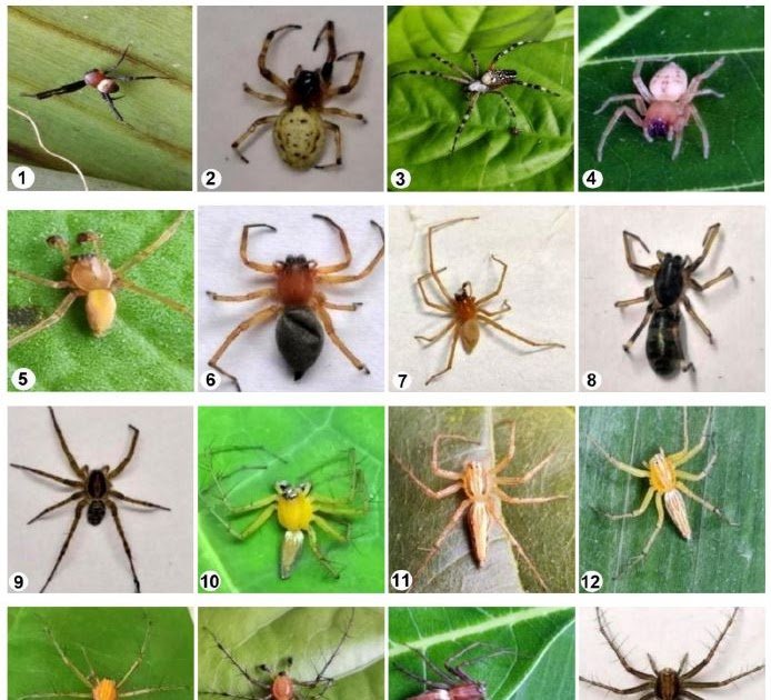 1770842195 Capture.JPG