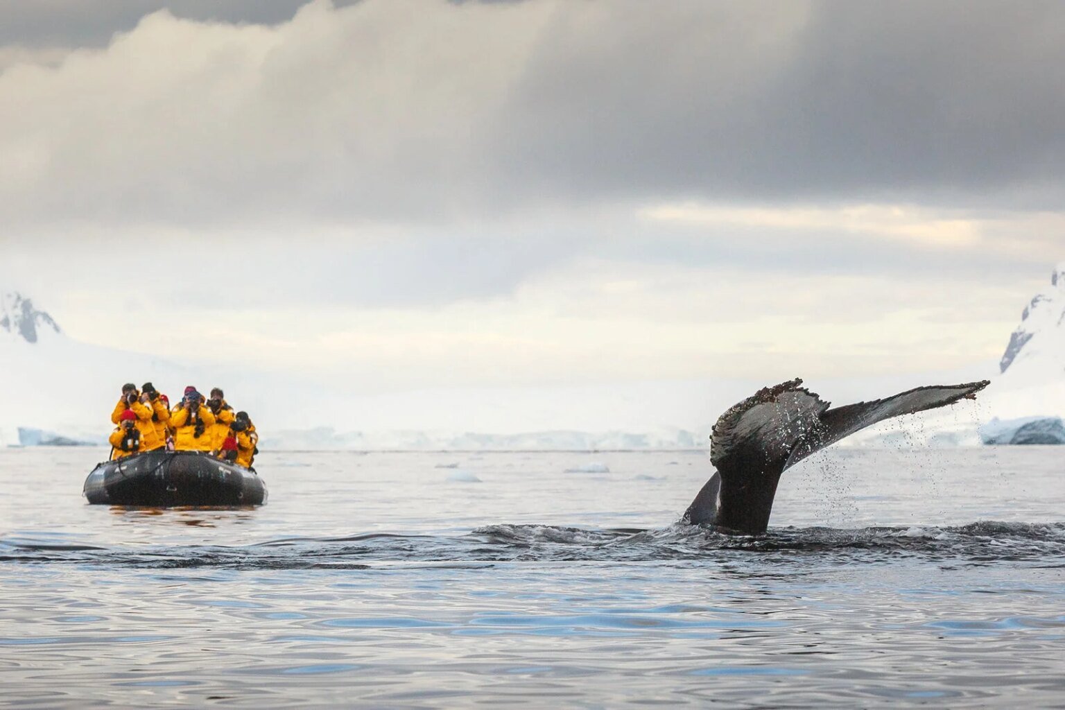 Antartica David Merron Photography.jpg