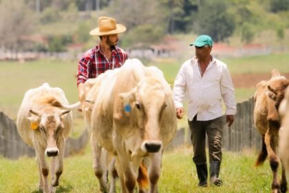 Depositphotos 161094778 XL scaled e1770110626204.jpg