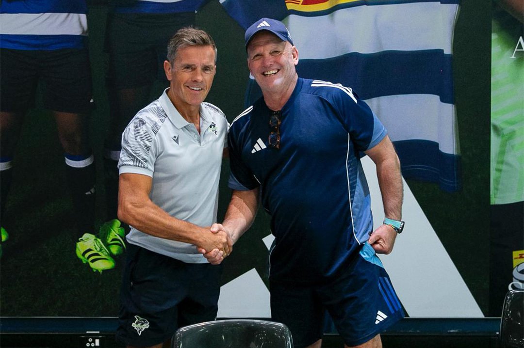 Dobbo e1771667447649.jpg