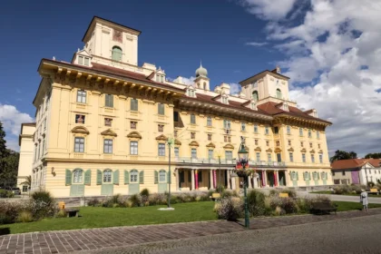 IMG 0002 copy.webp.webp