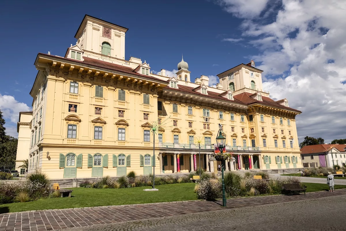 IMG 0002 copy.webp.webp