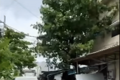 Screenshot 2026 02 25 at 17.33.53.png