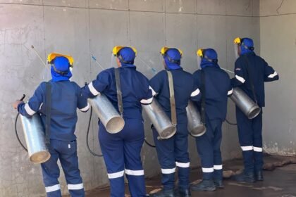 Some of the department of Health workers during their indoor residual spraying in the Vhembe and Mop.jpeg