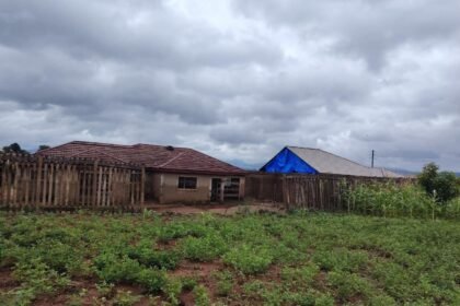 Tswinga Clinic palisade fence damage 2.jpg