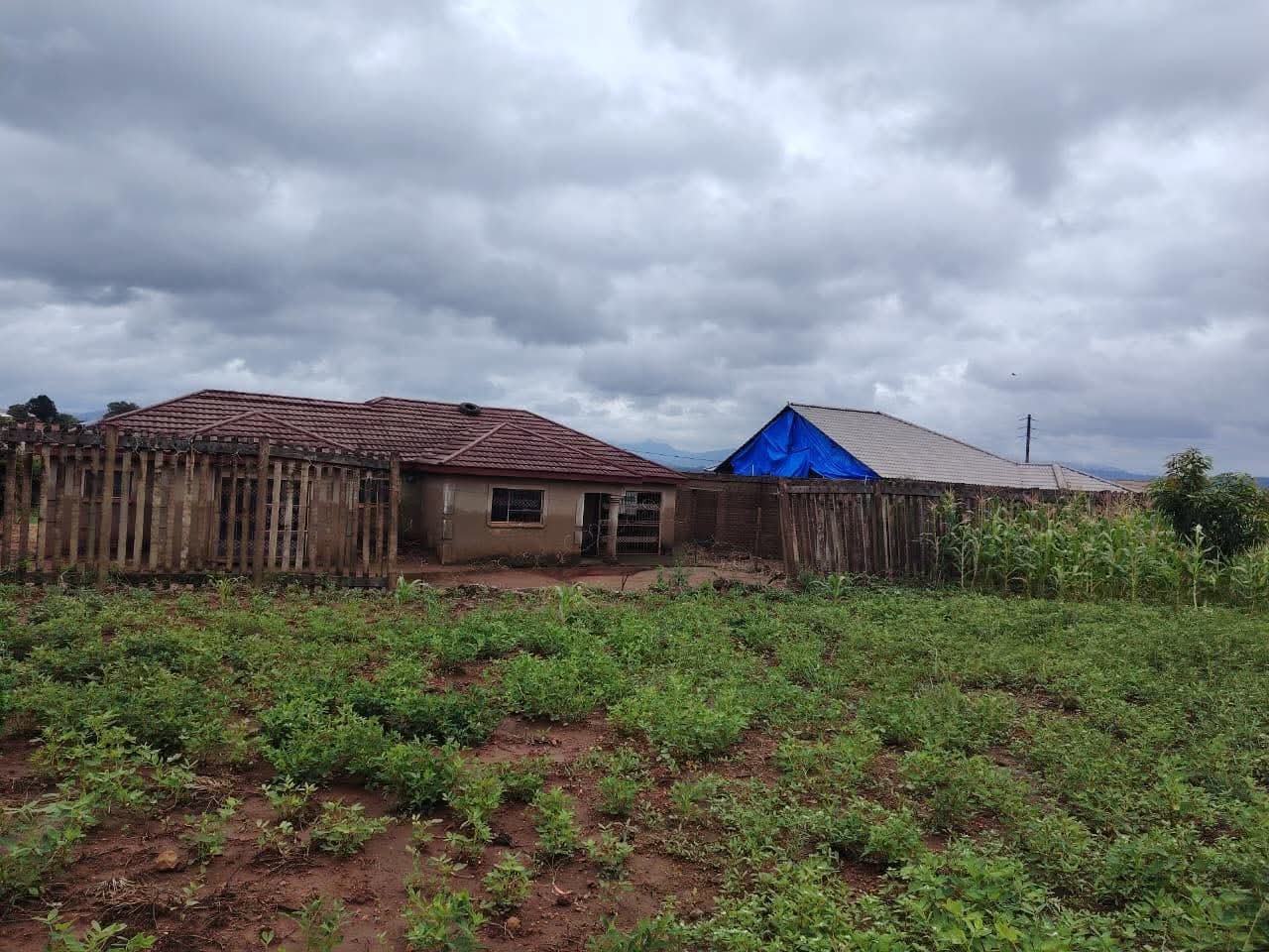 Tswinga Clinic palisade fence damage 2.jpg