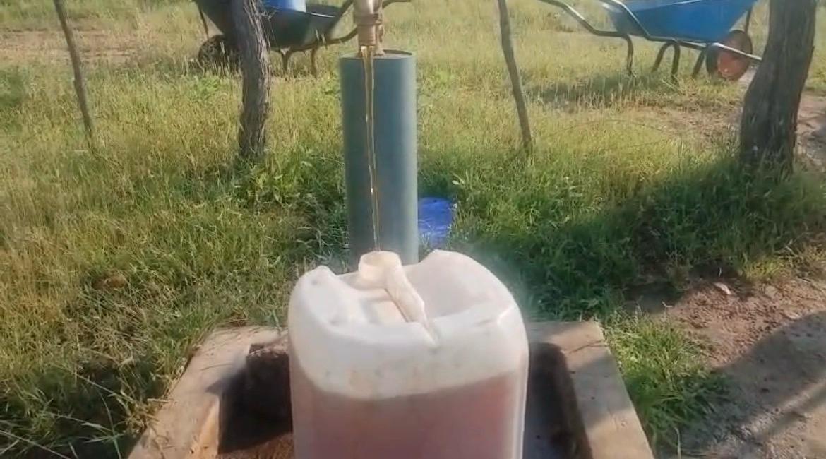 WhatsApp Image 2026 02 02 at 12.41.38.jpeg