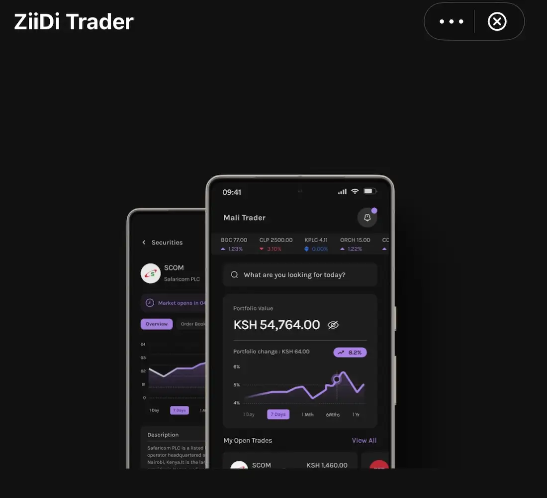Ziidi Trader.webp.webp