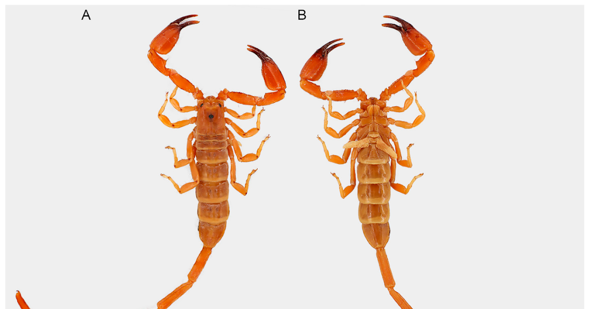 Diversity 18 00121 g002.png