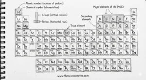 Hand drawn periodic table elements of life 300x164.png