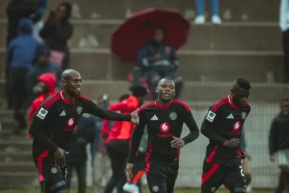 Kabelo dlaminii.jpeg.webp.webp