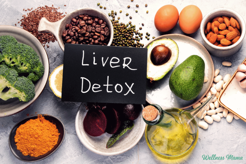 Liver support 2.png