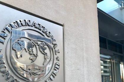 Shutterstock 1276402954 rex9d2.jpg