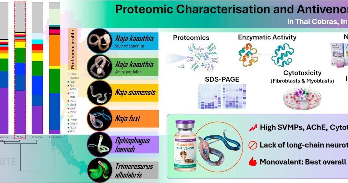 1 s2.0 S0001706X26000999 ga1 lrg.jpg