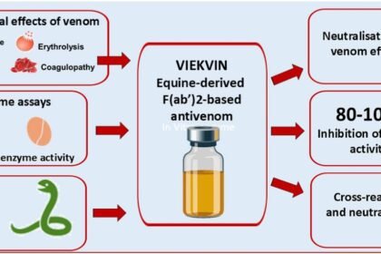 1 s2.0 S0041010126000589 ga1 lrg.jpg