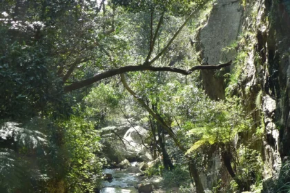 1920px Help Help.webp.webp