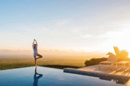 1a Portal Pikaia concept bg.jpg