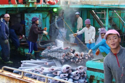 2084c111 gp0strfn8 pressmedia 2500px.jpg