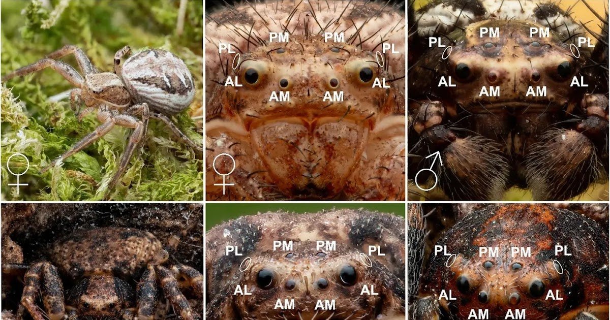 359 2026 1802 Fig1 HTML.webp.jpeg