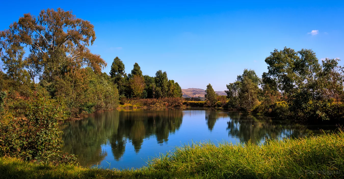 A Quiet Corner 14063932870.webp.webp