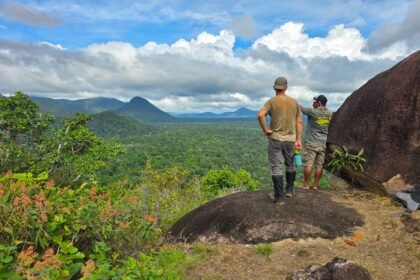 COPYRIGHT HoneyTrek 20251201 092453 179 scaled.jpg