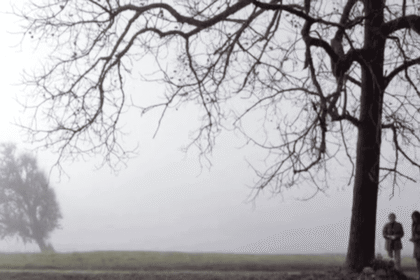 Cruel Unusual 2014 84.png