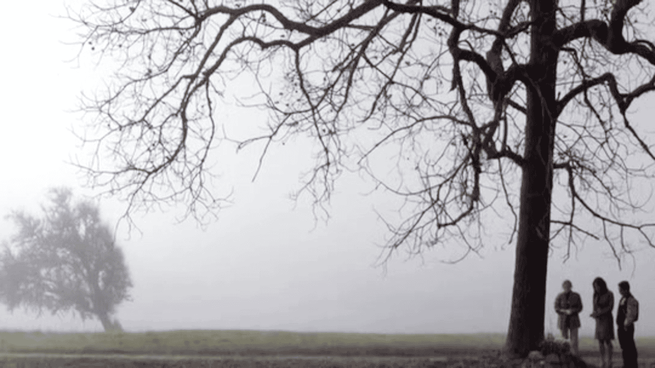 Cruel Unusual 2014 84.png