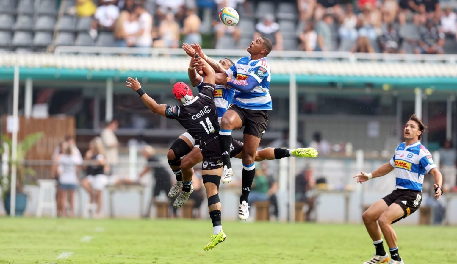 Damian Willemse Aerial e1774612759235.jpg