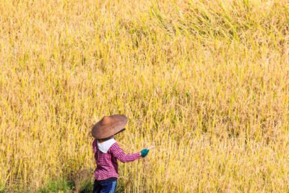 Depositphotos 75966135 XL 1015x1024.jpg