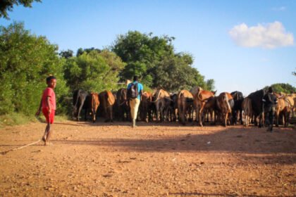 IMG 9220 1 1024x735.jpg