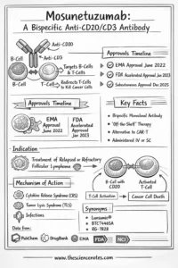Mosunetuzumab infographic overview 200x300.png