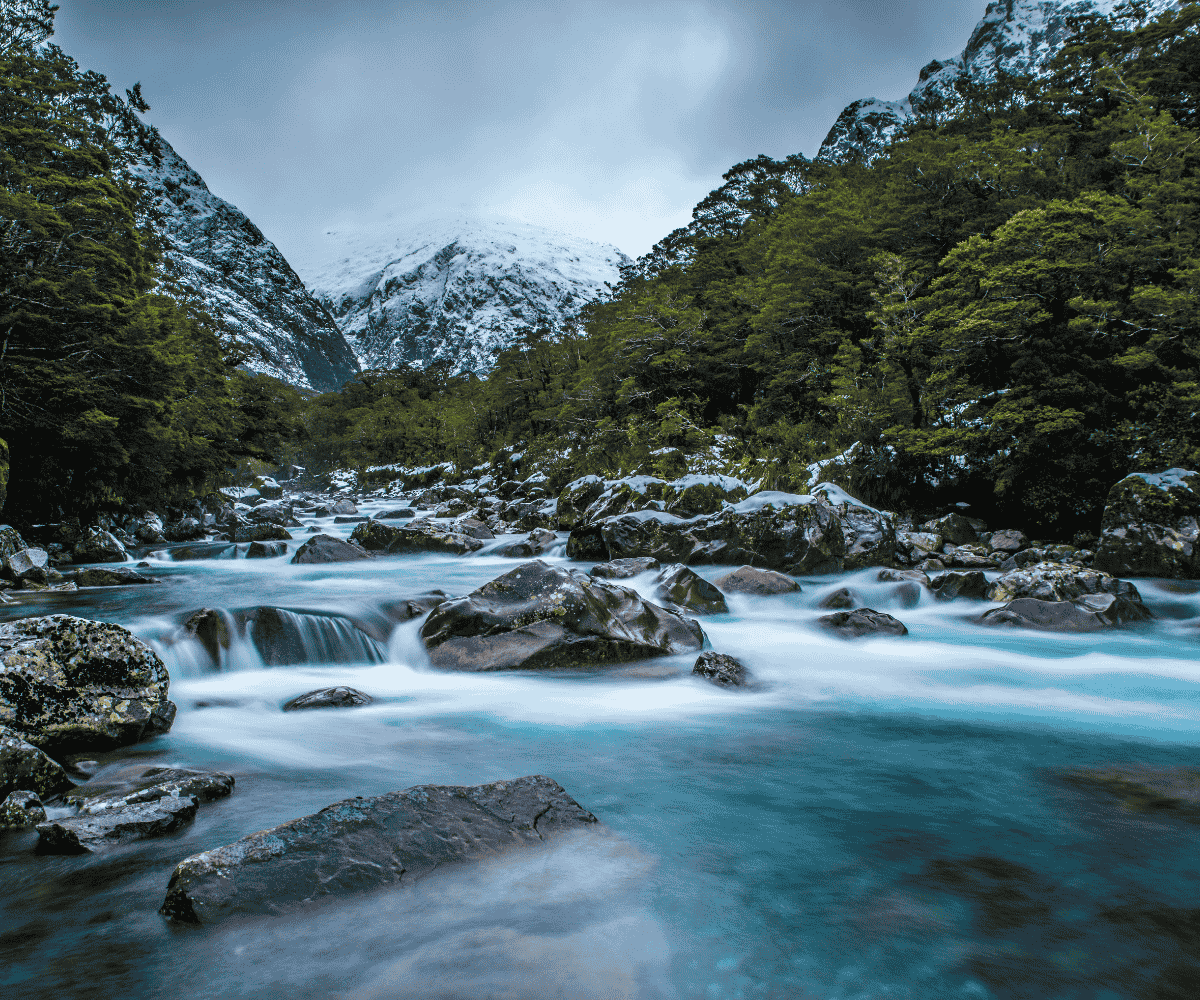 NZ River.png