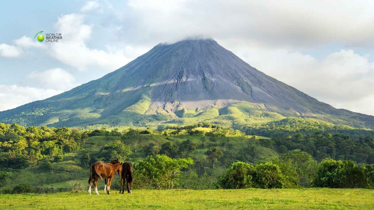 Rainforest Weather Guide Costa Ricas Seasonal Patterns for Wildlife Travelers.jpg