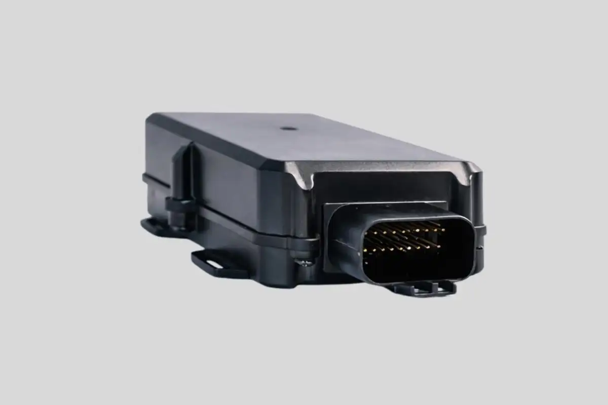 Roam Explorer.webp.webp