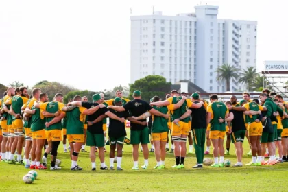 Springboks huddle.jpeg.webp.webp